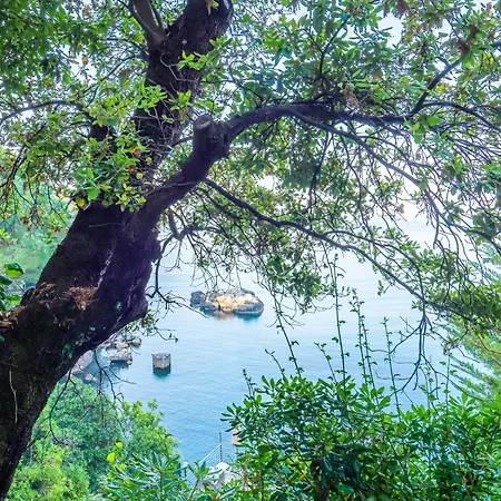 Hotell Il Nido Tellaro